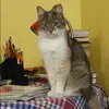Отзыв от Виктория Максимова